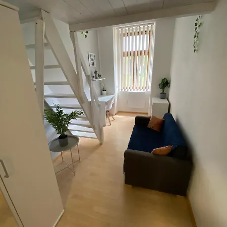 Downtown Flat Under Spilberk Castle *