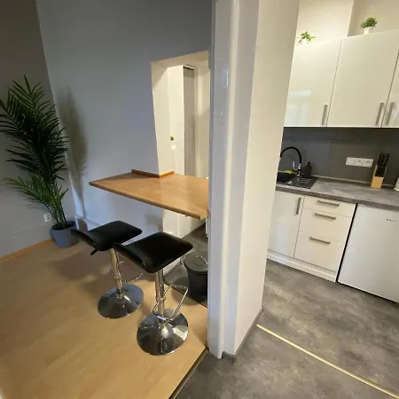 Downtown Flat Under Spilberk Castle Brno