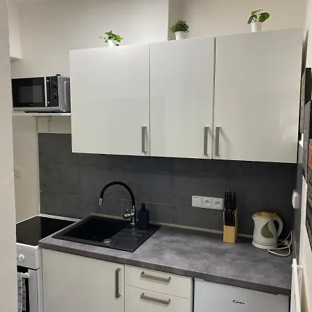 شقة Downtown Flat Under Spilberk Castle برنو
