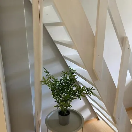 Downtown Flat Under Spilberk Castle Daire