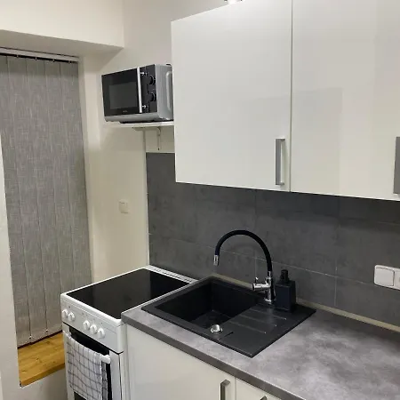Downtown Flat Under Spilberk Castle Brno