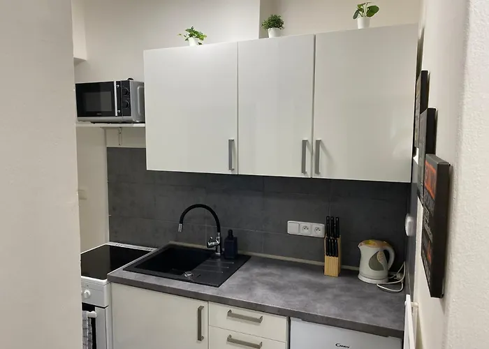 Apartament Downtown Flat Under Spilberk Castle Brno