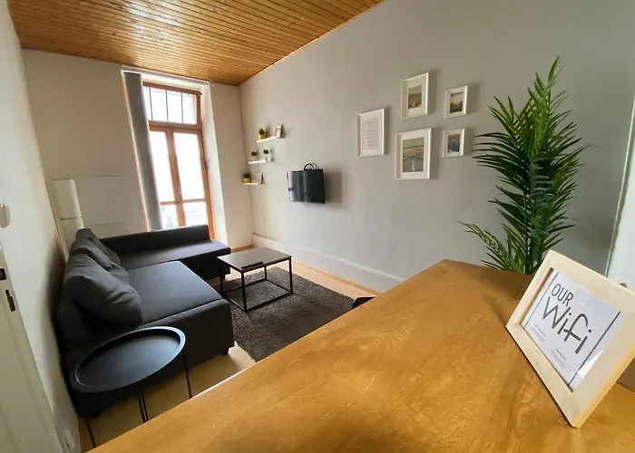 Апартаменты Downtown Flat Under Spilberk Castle