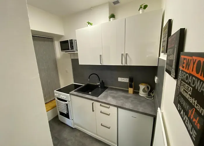 Apartament Downtown Flat Under Spilberk Castle *