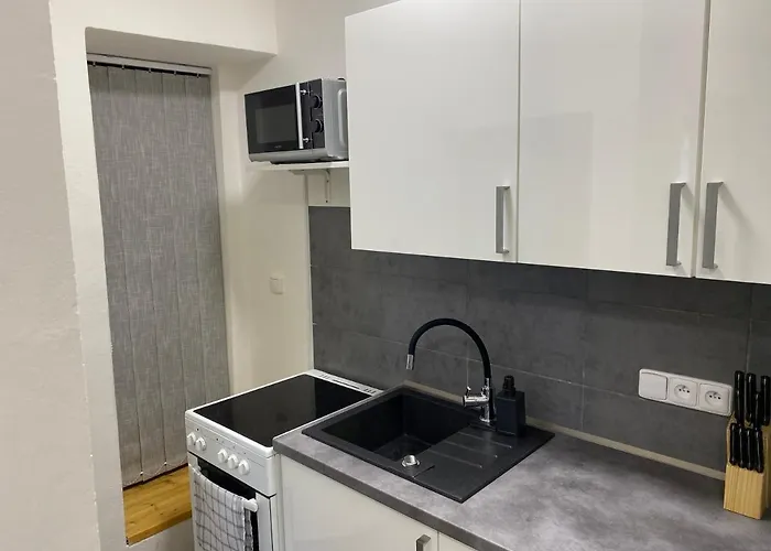 Downtown Flat Under Spilberk Castle Brno